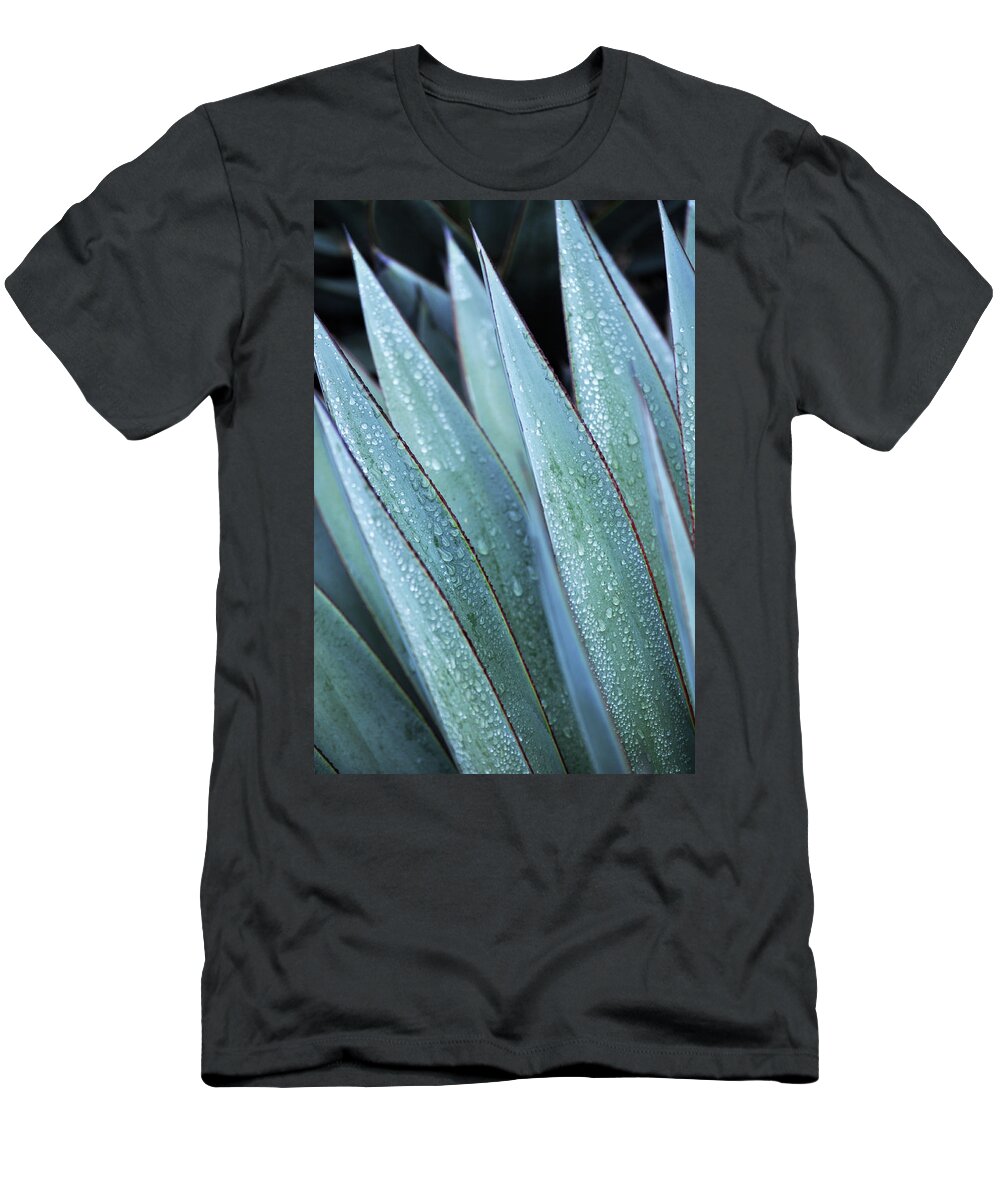 Los Angeles County Arboretum T-Shirt featuring the photograph Dew Drop Cactus Portrait by Kyle Hanson