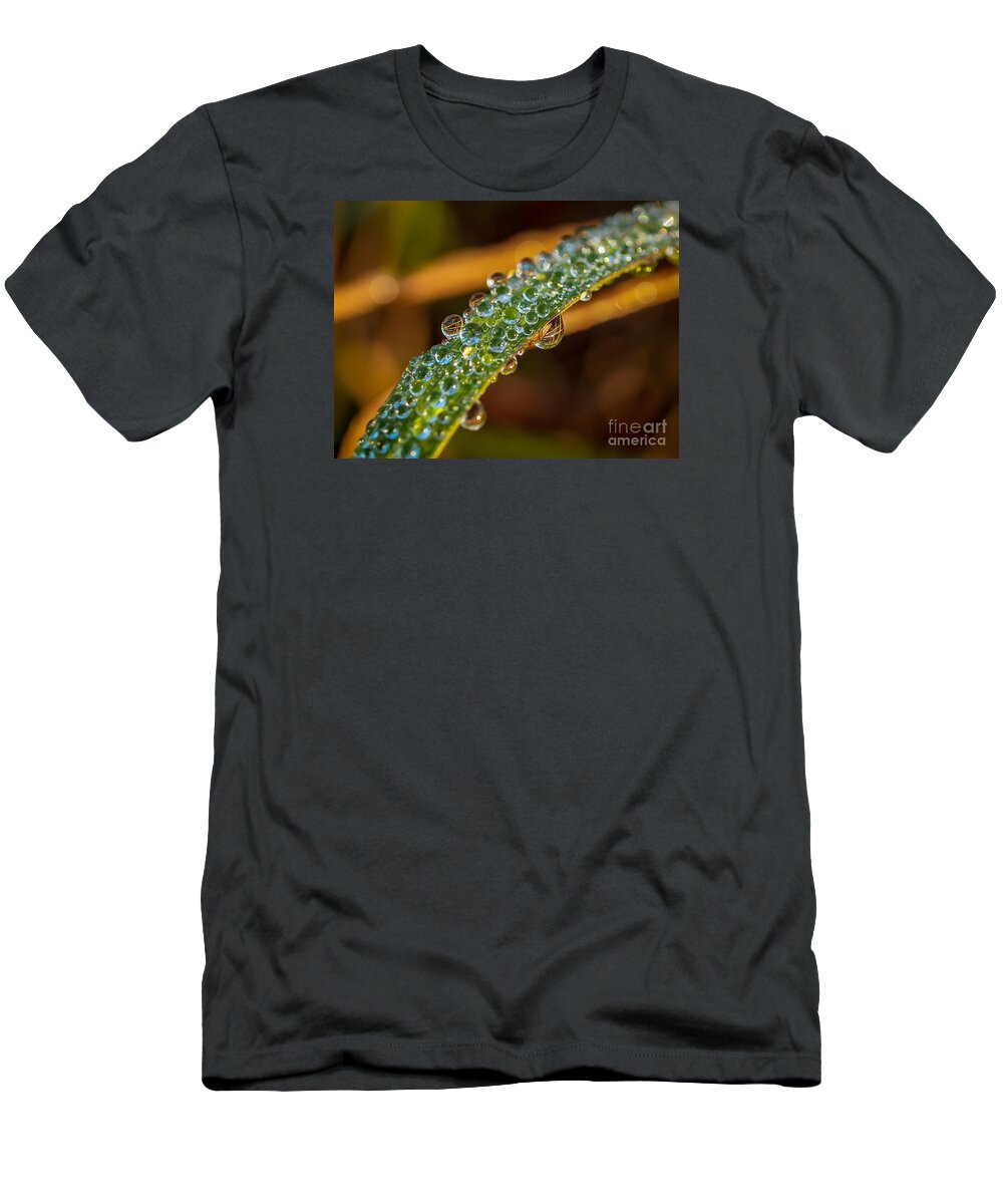 Dew T-Shirt featuring the photograph Dew Drop Reflection by Tom Claud