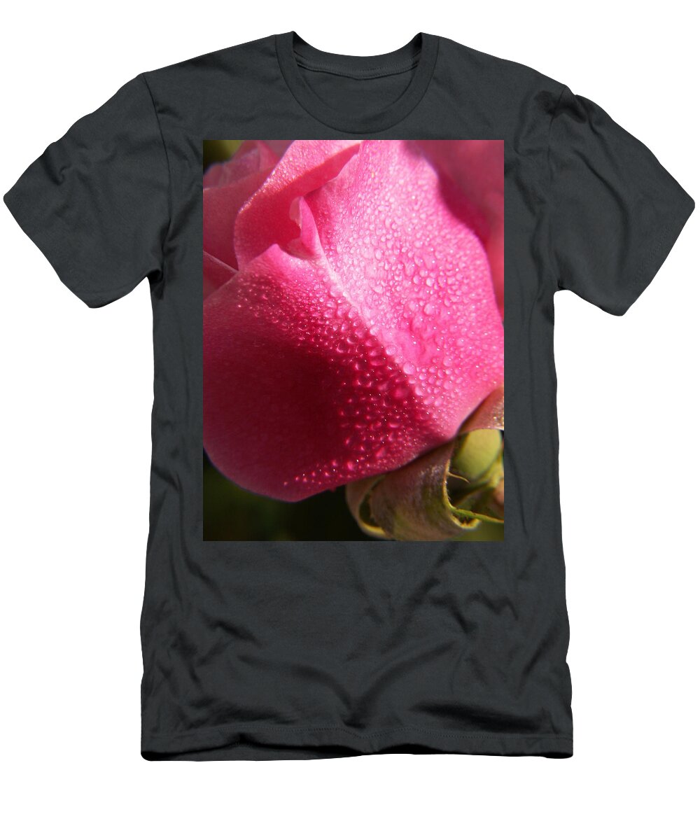 Pink Roses T-Shirt featuring the photograph Dewy Rose by Amy Fose