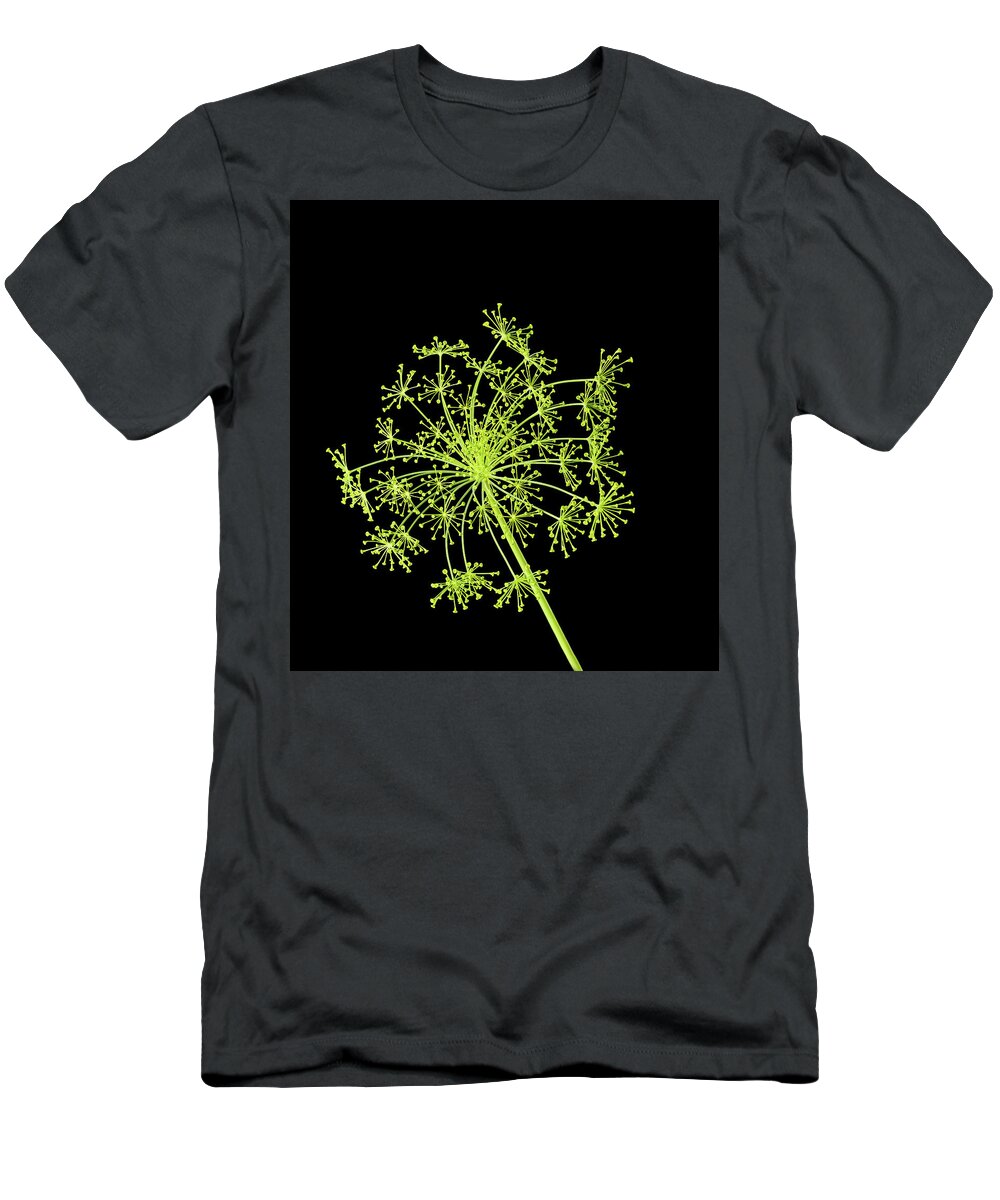 Texture T-Shirt featuring the photograph Dill-works by Georgette Grossman