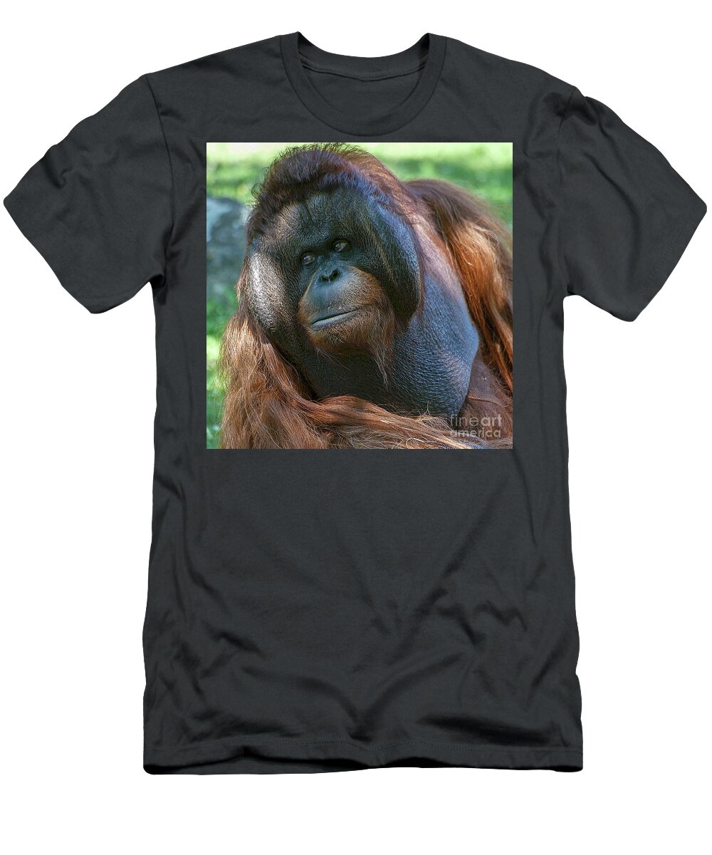 Orang Untang T-Shirt featuring the photograph Disapproving Glance by Heiko Koehrer-Wagner