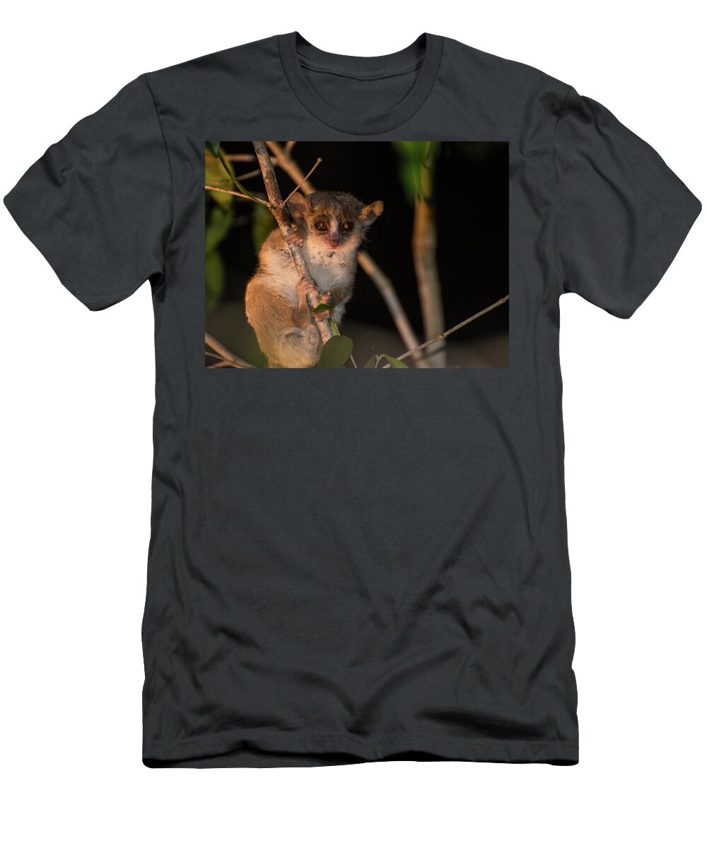 Lemur T-Shirt featuring the photograph Do You Know What Time It Is by Alex Lapidus