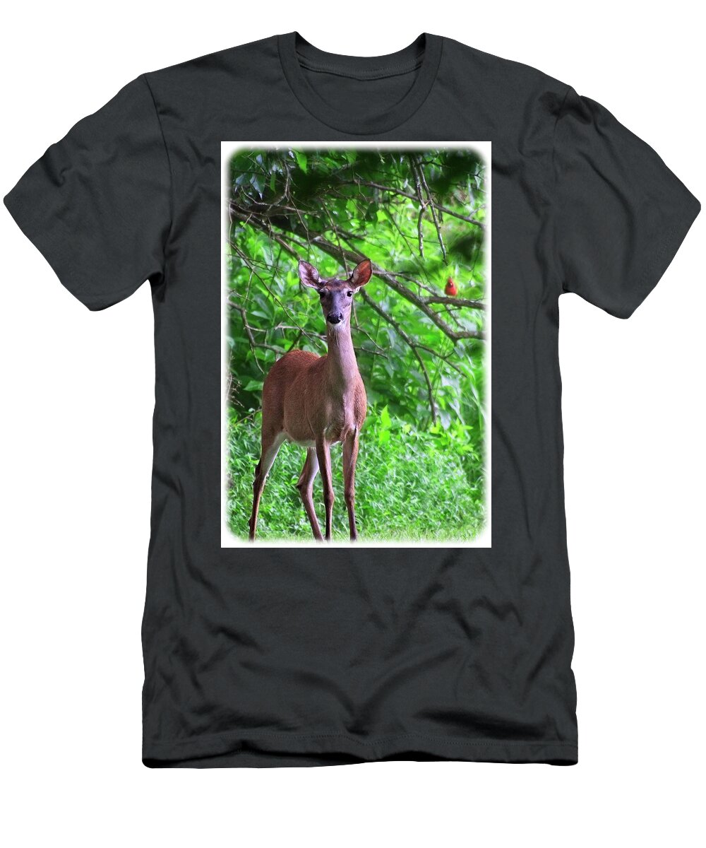 Wildlife T-Shirt featuring the photograph Doe and Cardinal by John Benedict