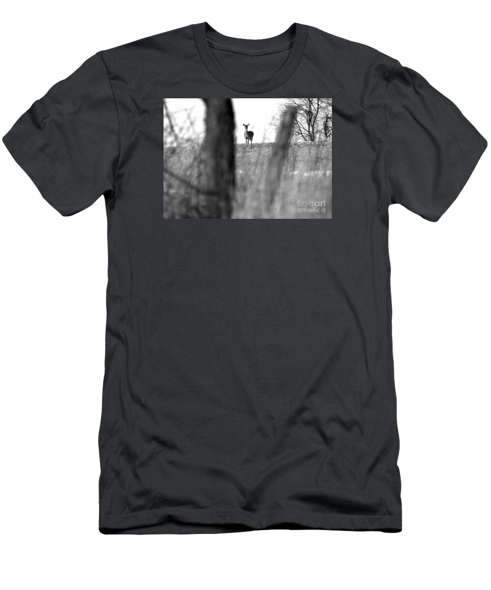 Scene T-Shirt featuring the photograph Doe in Autumn Black and White by Angela Rath