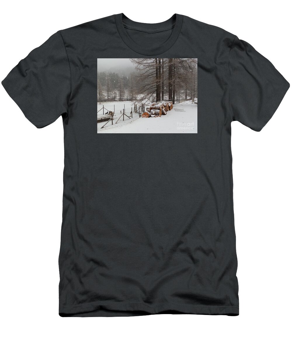 Europe T-Shirt featuring the photograph Dogs and cut wood by Margaret Brooks