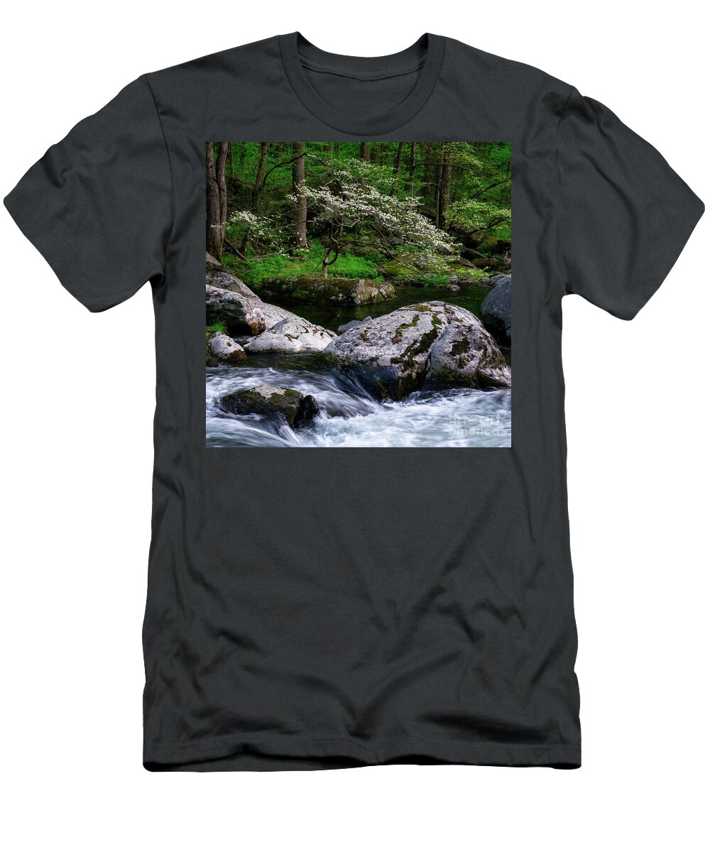 Smokies T-Shirt featuring the photograph Dogwood over a creek by Izet Kapetanovic