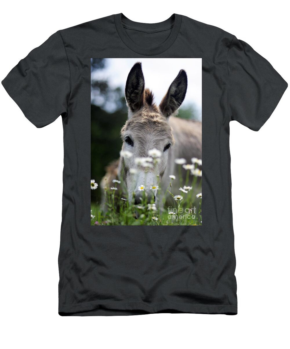 Donkeys T-Shirt featuring the photograph Donkey #1822 by Carien Schippers