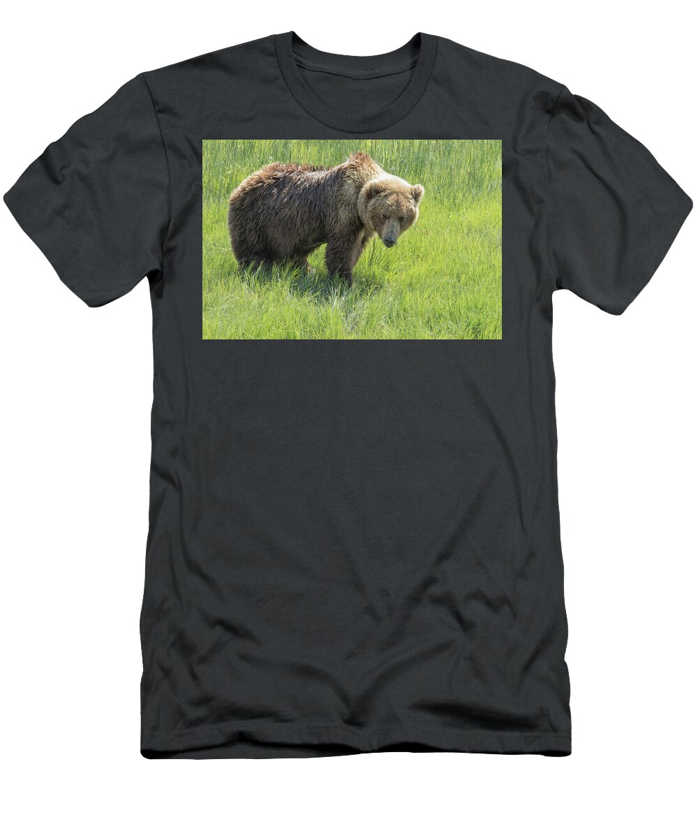 Brown Bear T-Shirt featuring the photograph Don't Mess with Mama Bear by Belinda Greb