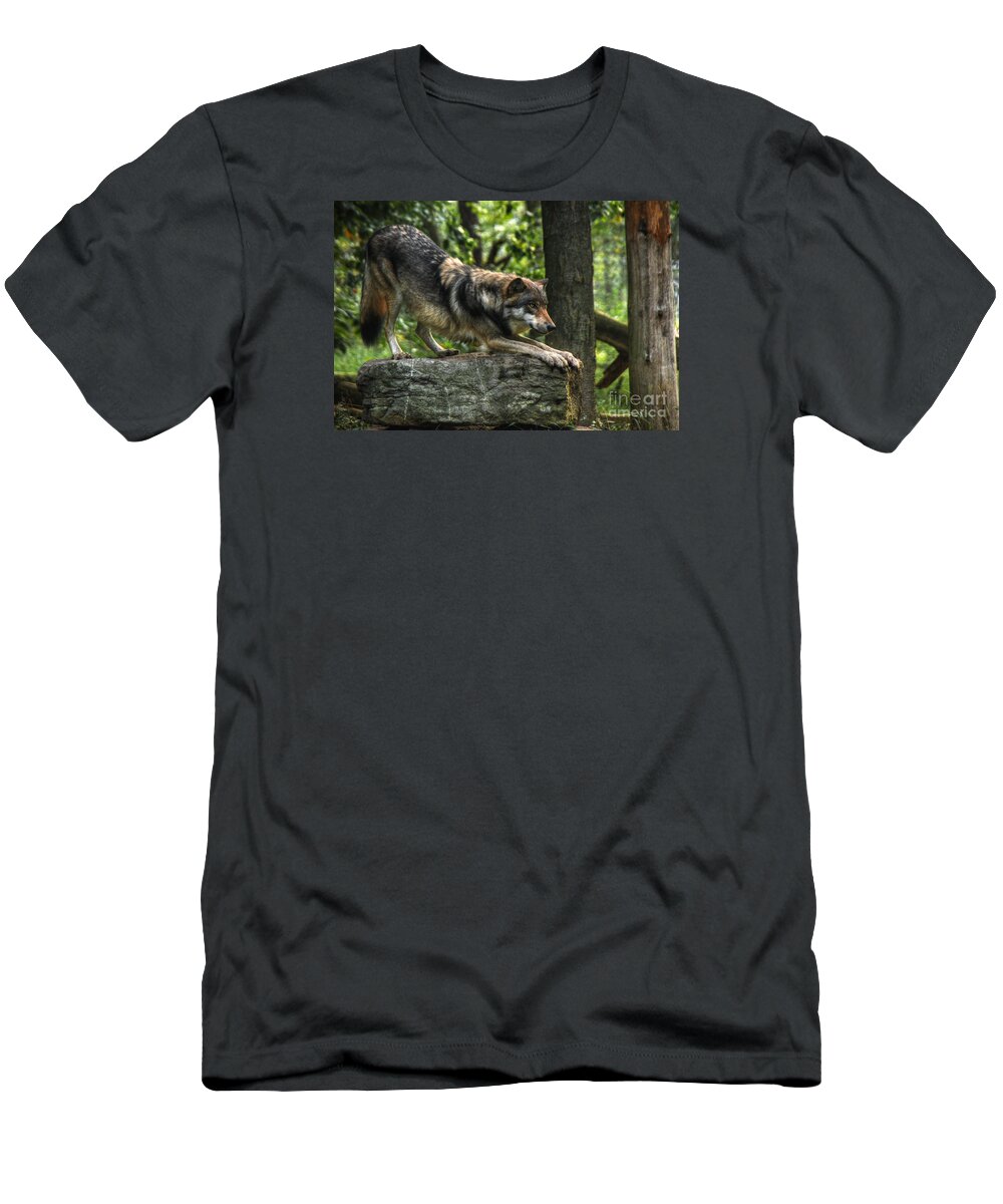 Downward Facing Wolf T-Shirt featuring the digital art Downward Facing Wolf by William Fields