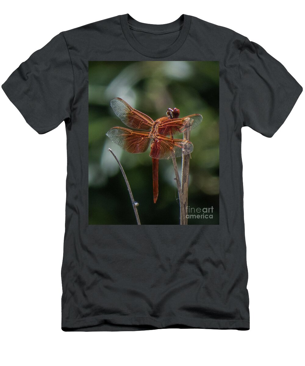 Dragonfly T-Shirt featuring the photograph Dragonfly 9 by Christy Garavetto