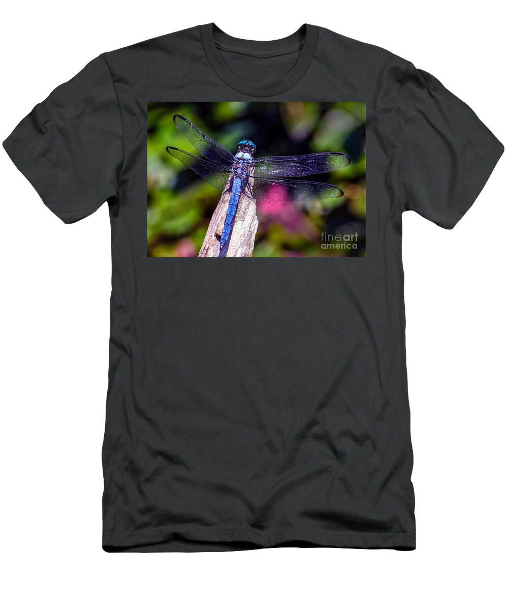 Nature T-Shirt featuring the photograph Dragonfly by DB Hayes