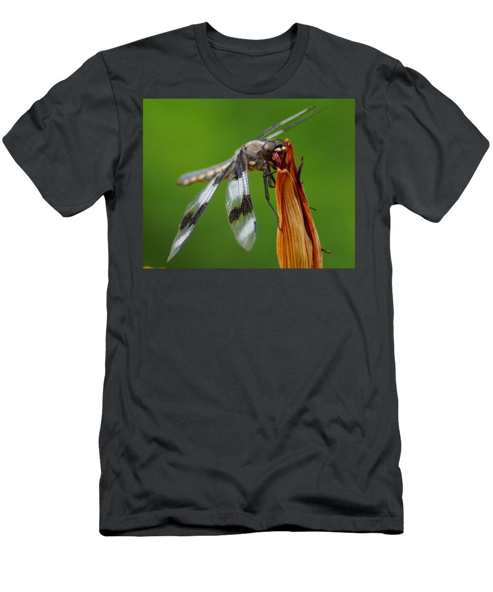 Dragonfly T-Shirt featuring the photograph Dragonfly Portrait 2 by Ben Upham III