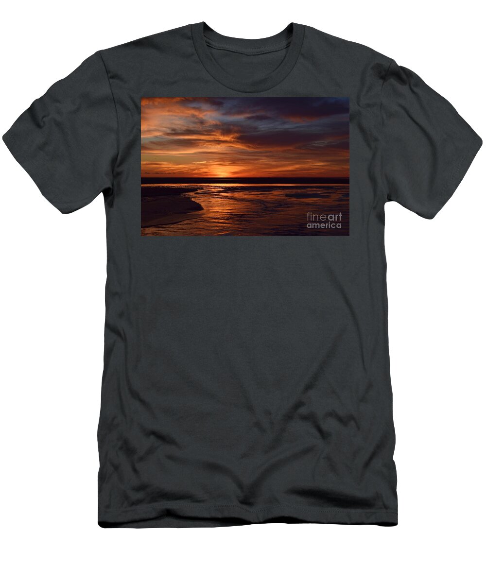 First Encounter Beach T-Shirt featuring the photograph Dramatic Encounters Collection 07 by Debra Banks