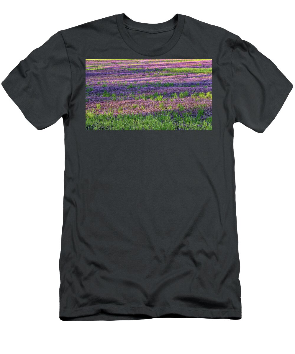 Spring T-Shirt featuring the photograph Dreaming of France by Holly Ross