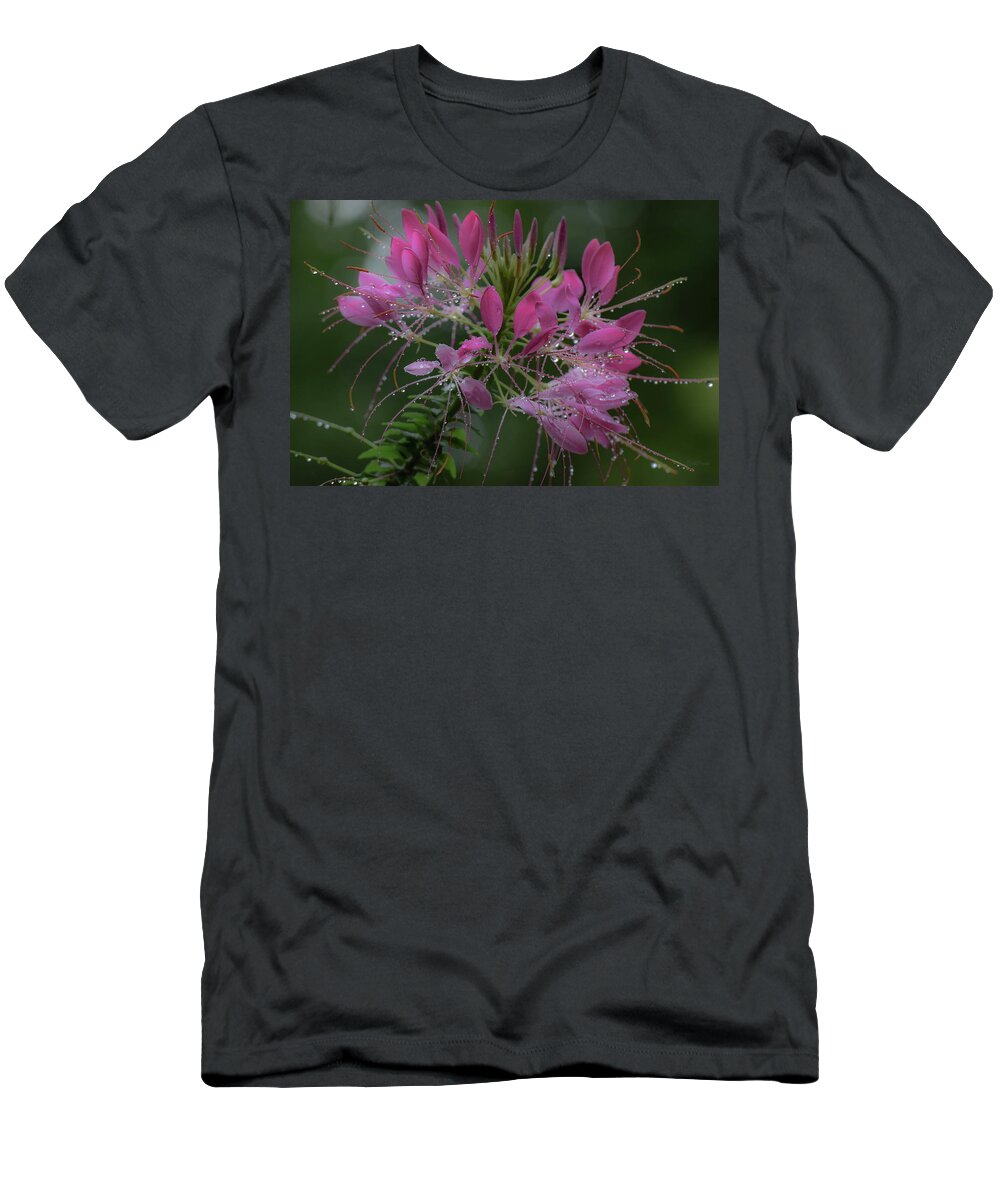Cleome T-Shirt featuring the photograph Drenched With Love by Deborah Crew-Johnson