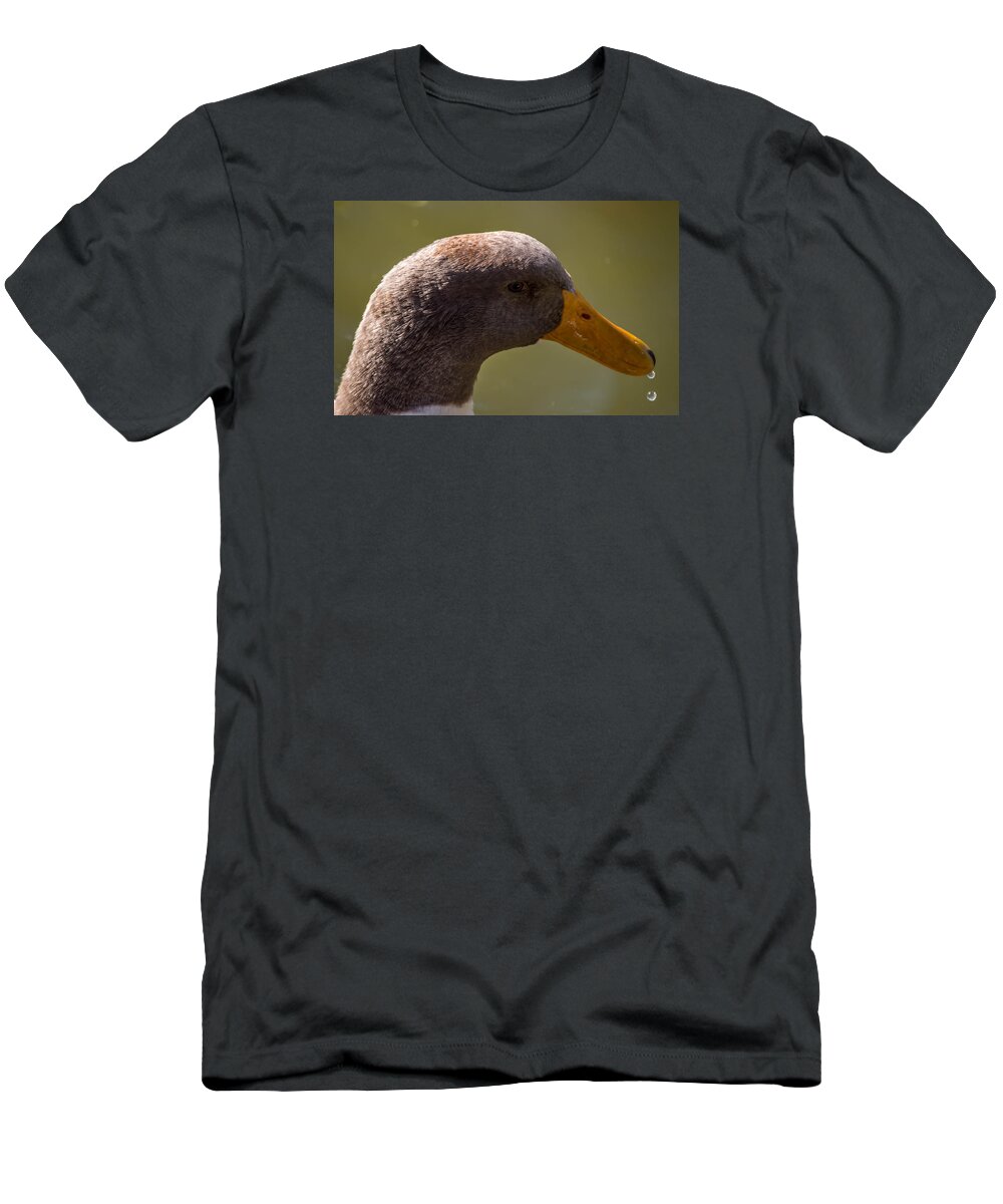 Duck T-Shirt featuring the photograph Drip Drip by Leticia Latocki