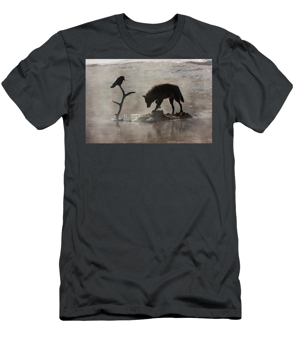 Mark Miller Photos T-Shirt featuring the photograph Druid Wolf and Raven Silhouette by Mark Miller