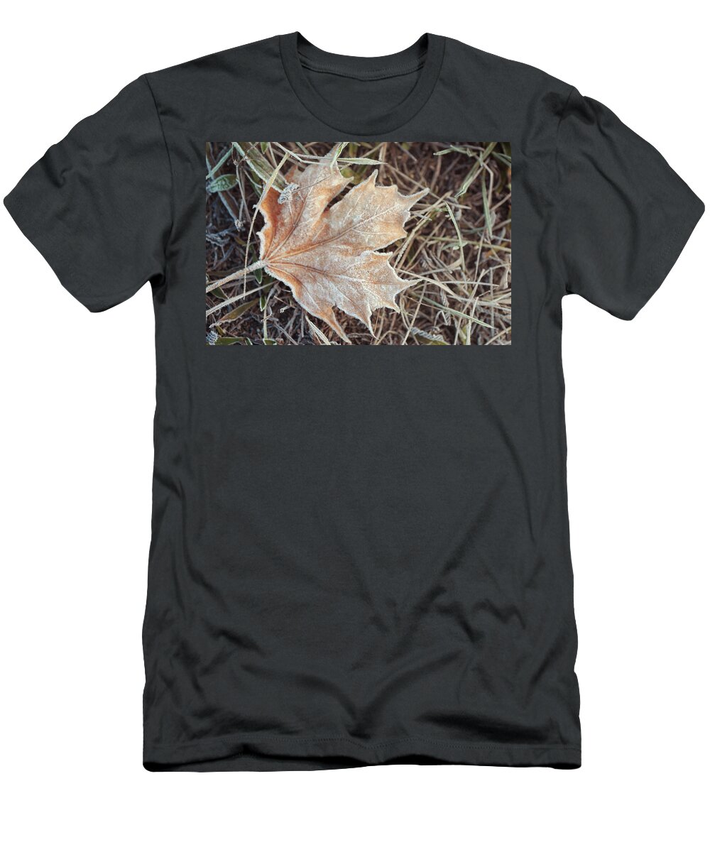 Jenny Rainbow Fine Art Photography T-Shirt featuring the photograph Dry Frosted Maple Leaf by Jenny Rainbow