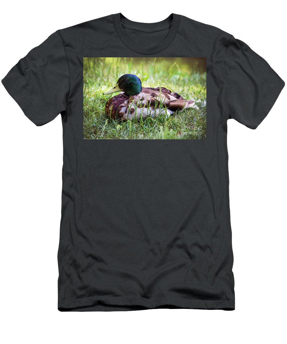 Duck T-Shirt featuring the photograph Duck Portrait by Sharon McConnell