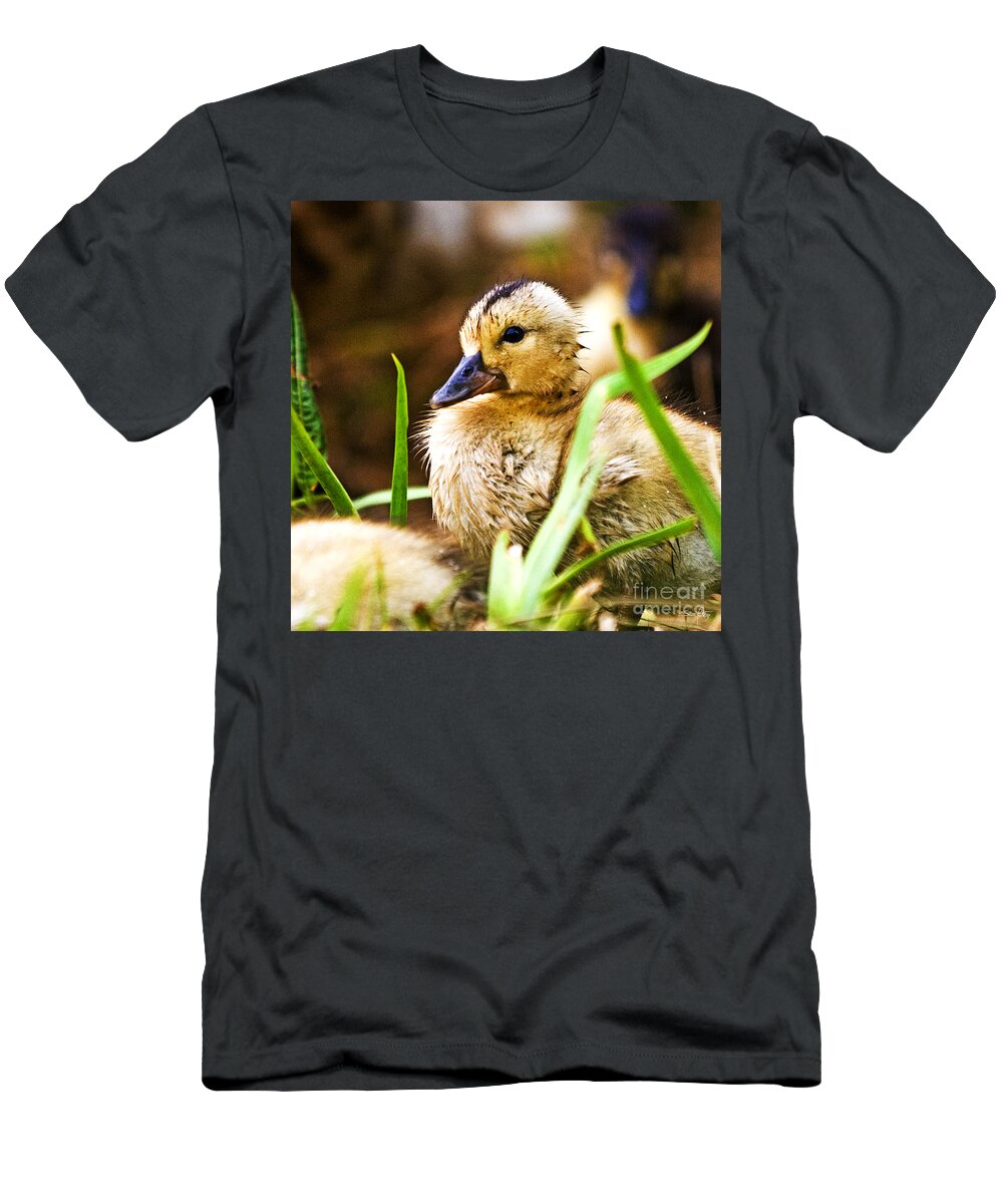 Duck T-Shirt featuring the photograph Duckling by Scott Pellegrin