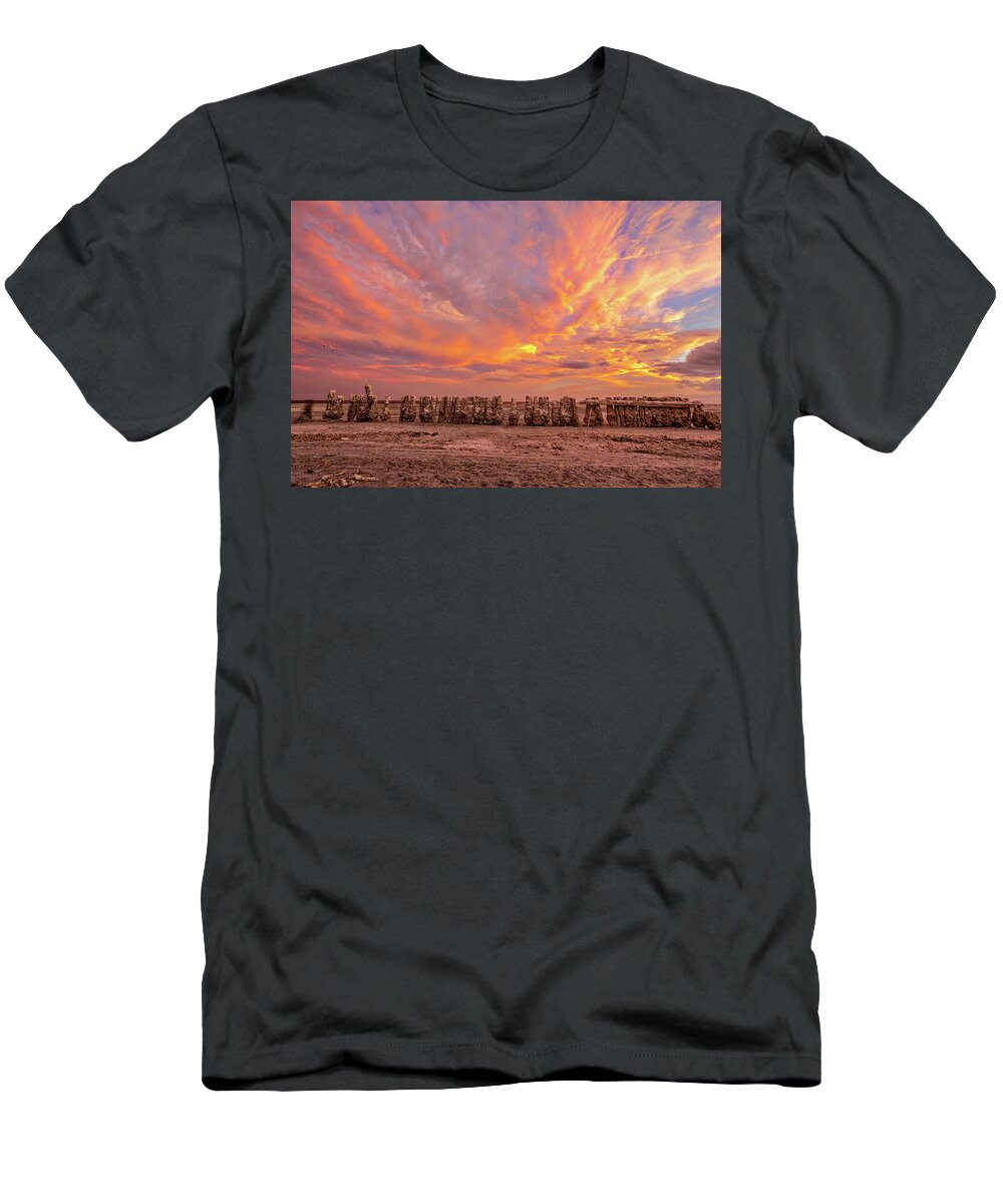 Abandoned T-Shirt featuring the photograph Ducks in a Row by Peter Tellone