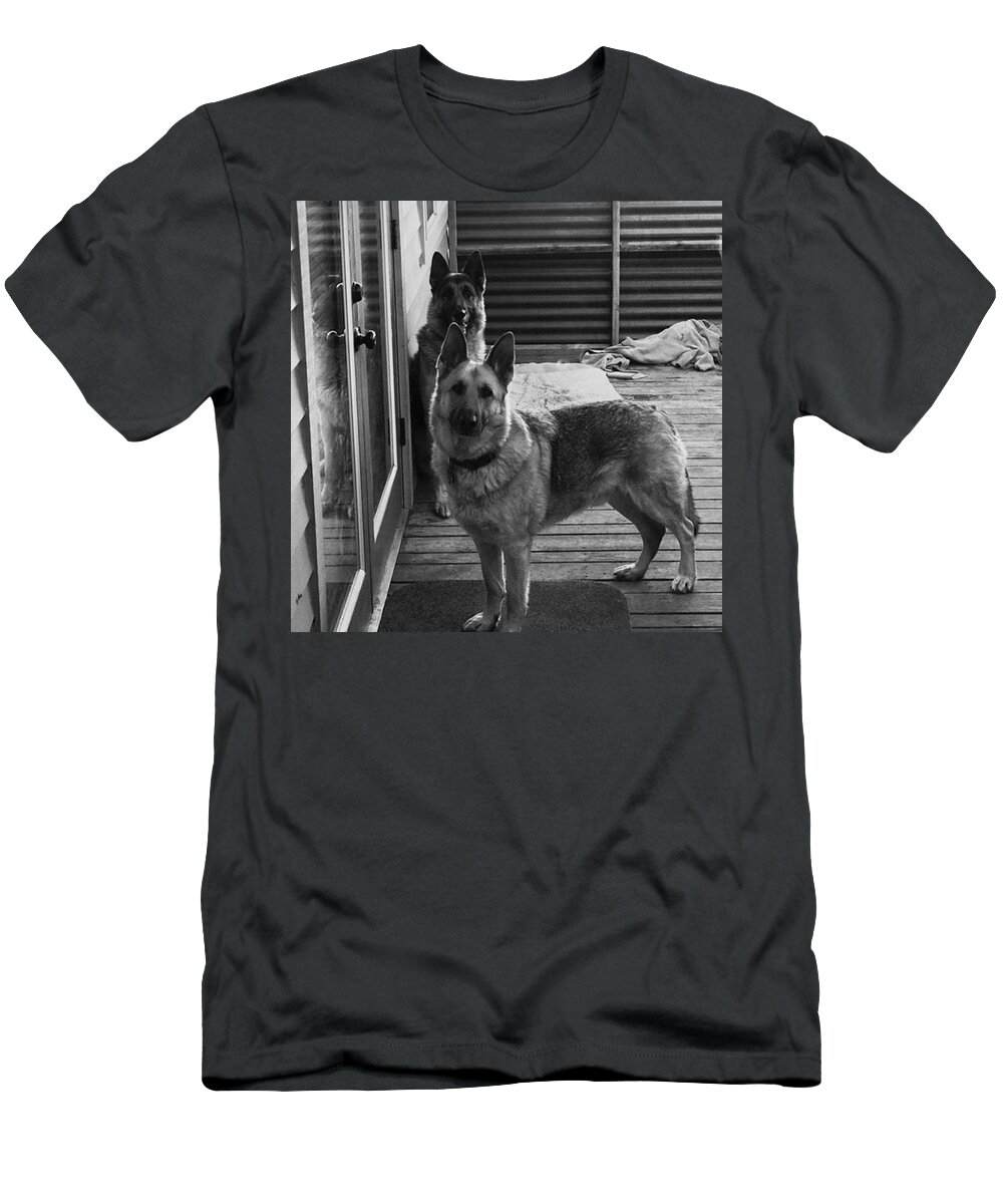 Pets T-Shirt featuring the photograph Dude Let Us In! #gad #pets by Jerry Renville