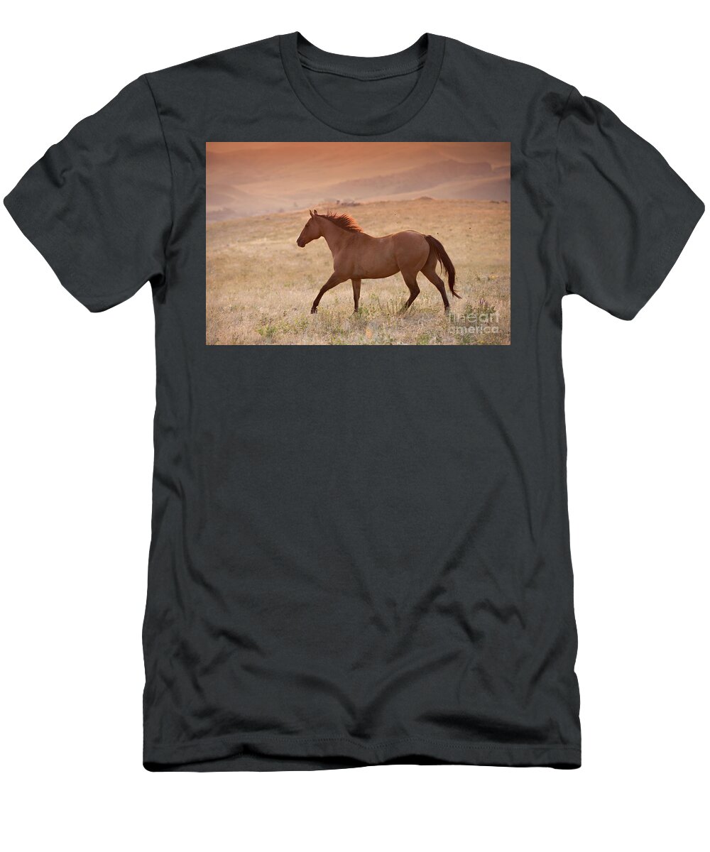 Landscape T-Shirt featuring the photograph Dun Horse at Sunrise by Terri Cage