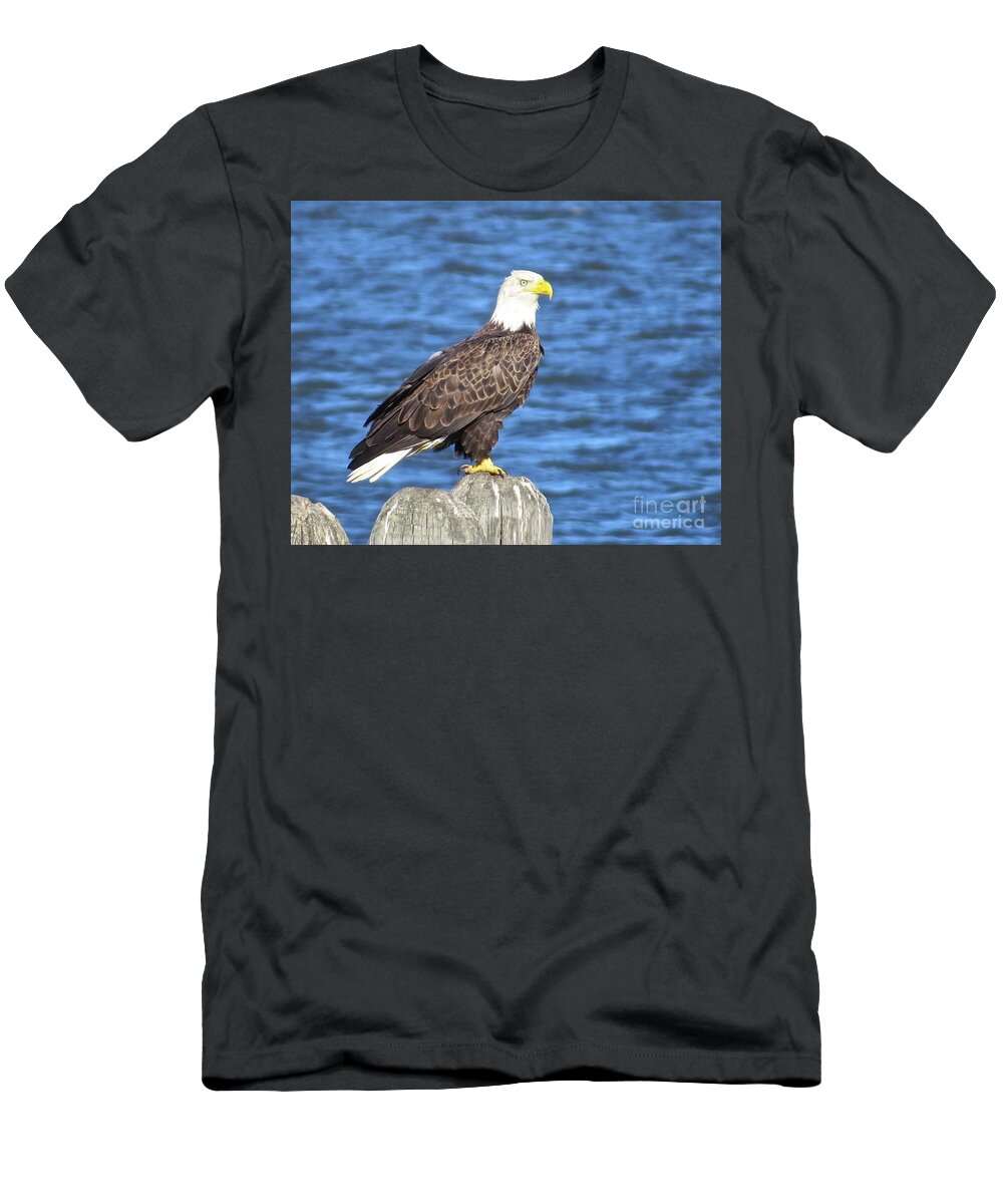 Eagle T-Shirt featuring the photograph Eagle at East Point by Nancy Patterson