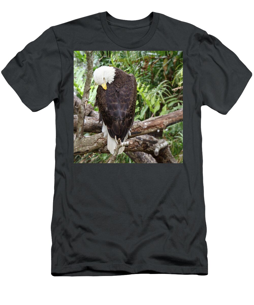 Eagle T-Shirt featuring the photograph Eagle Back by Les Greenwood