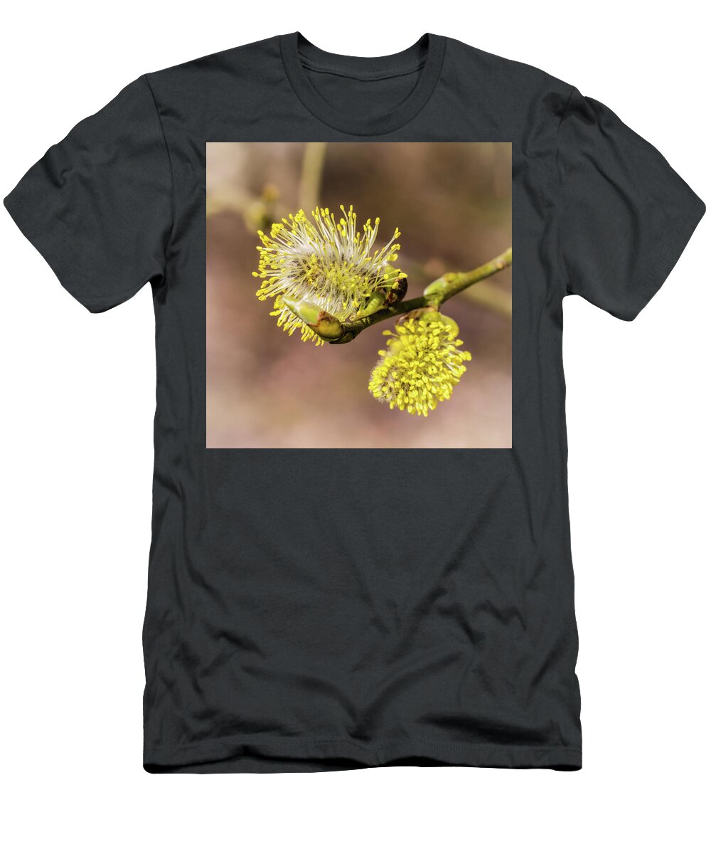 Spring T-Shirt featuring the photograph Early Catkins by Nick Bywater