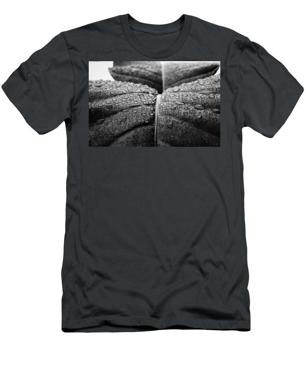 Rain T-Shirt featuring the photograph Early Morning Rain by Heidi Fickinger