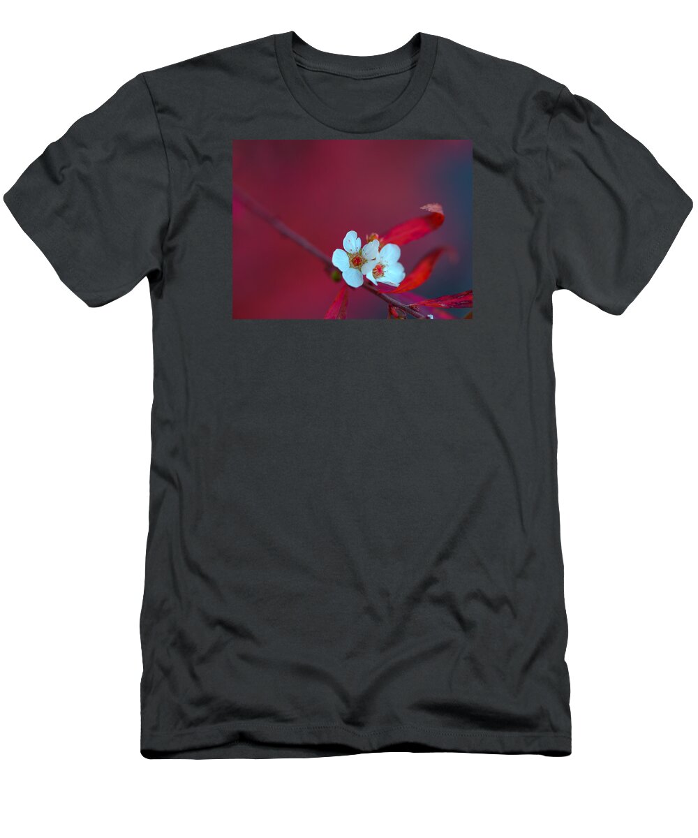 Thunberg Spirea T-Shirt featuring the photograph Early Spring by Yuka Kato