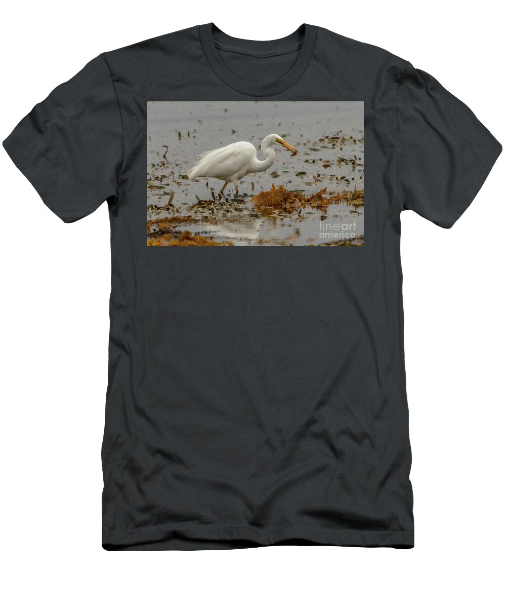 Nature T-Shirt featuring the photograph Eastern Great Egret 10 by Werner Padarin