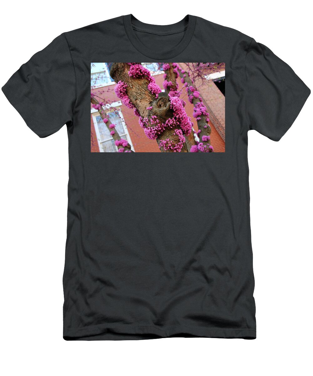 Eastern T-Shirt featuring the photograph Eastern Redbud Tree -- Blooming Tree Trunks by Cora Wandel