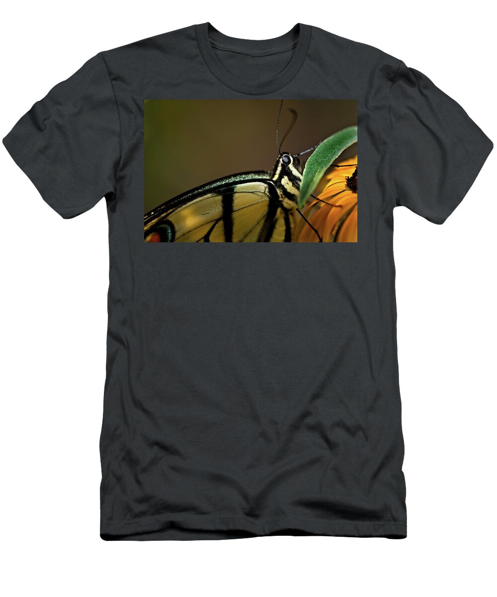 Eastern Tiger Swallowtail Papilio Glaucus T-Shirt featuring the photograph Eastern Tiger Swallowtail Butterfly by Onyonet Photo studios