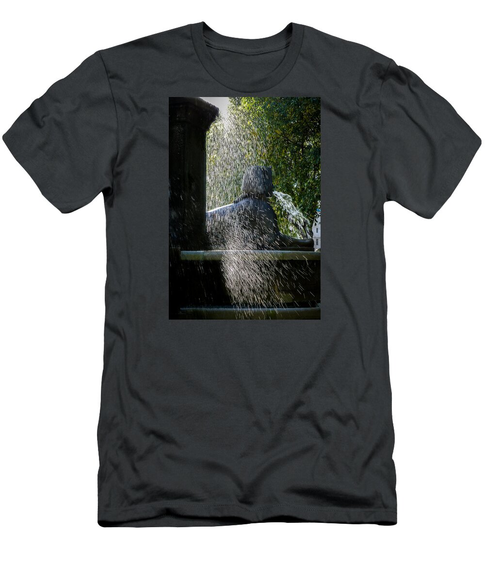 Paris T-Shirt featuring the photograph Eau de Sphinx by Pamela Newcomb