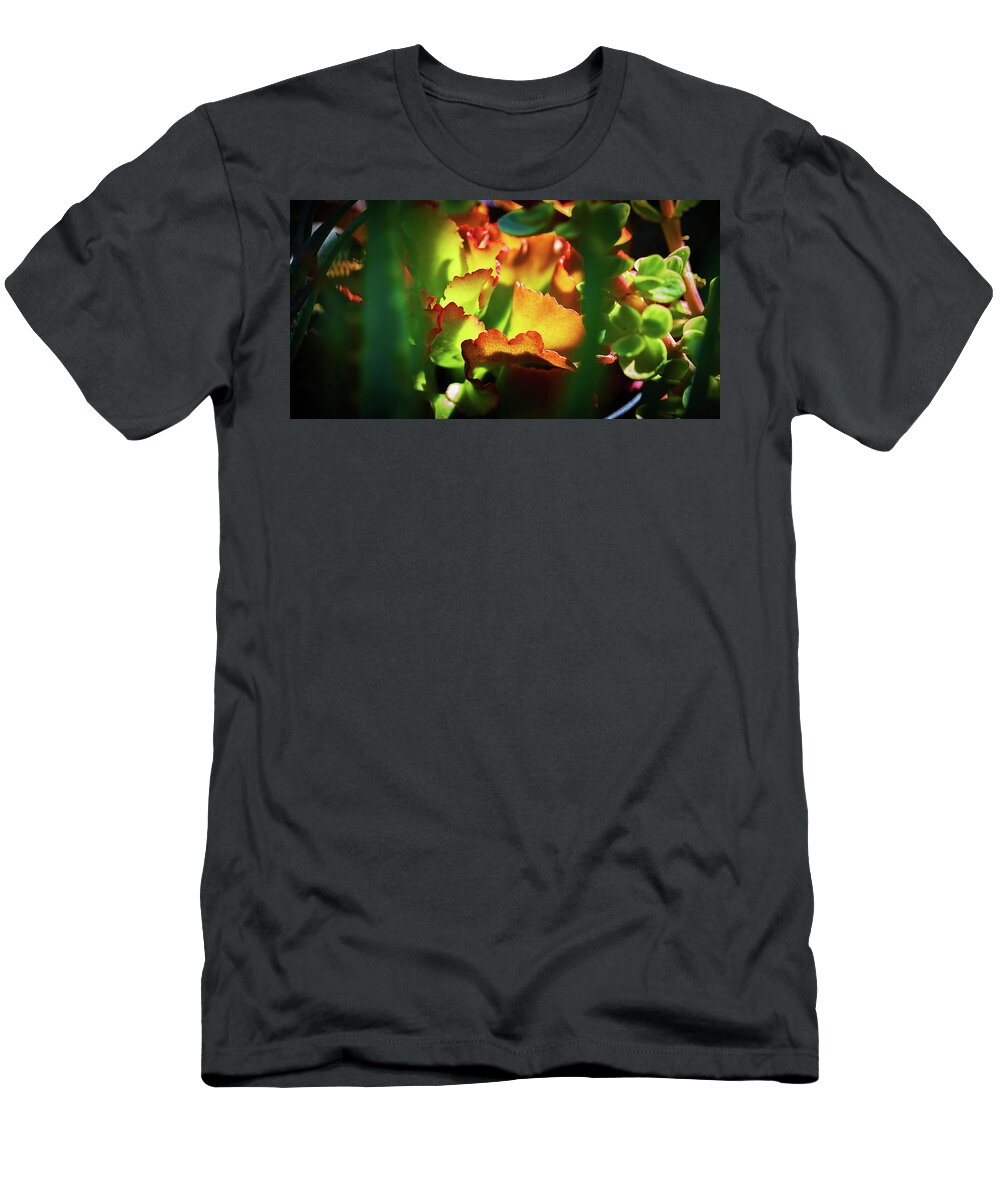 Echeveria T-Shirt featuring the photograph Echeveria Cultivar at Balboa Park by Kenneth Roberts