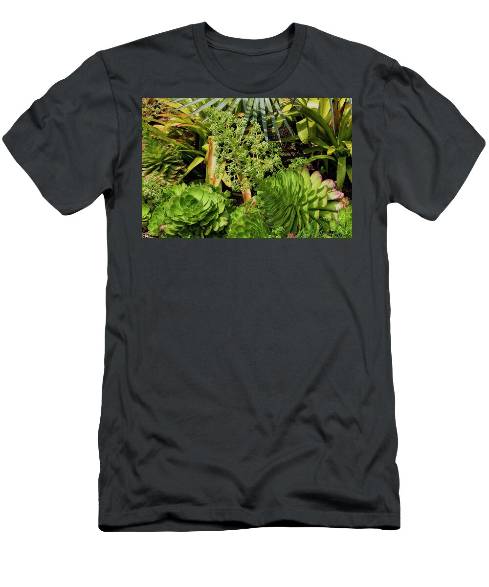 Echeveria T-Shirt featuring the photograph Echeveria Garden at Balboa Park by Kenneth Roberts