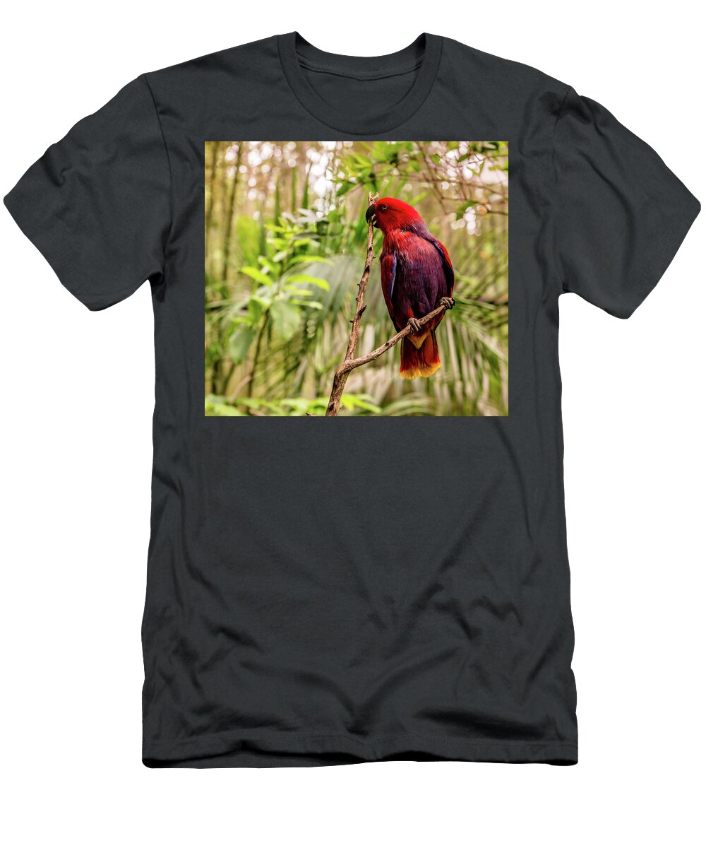 Parrot T-Shirt featuring the photograph Eclectus At The Zoo by Cynthia Wolfe