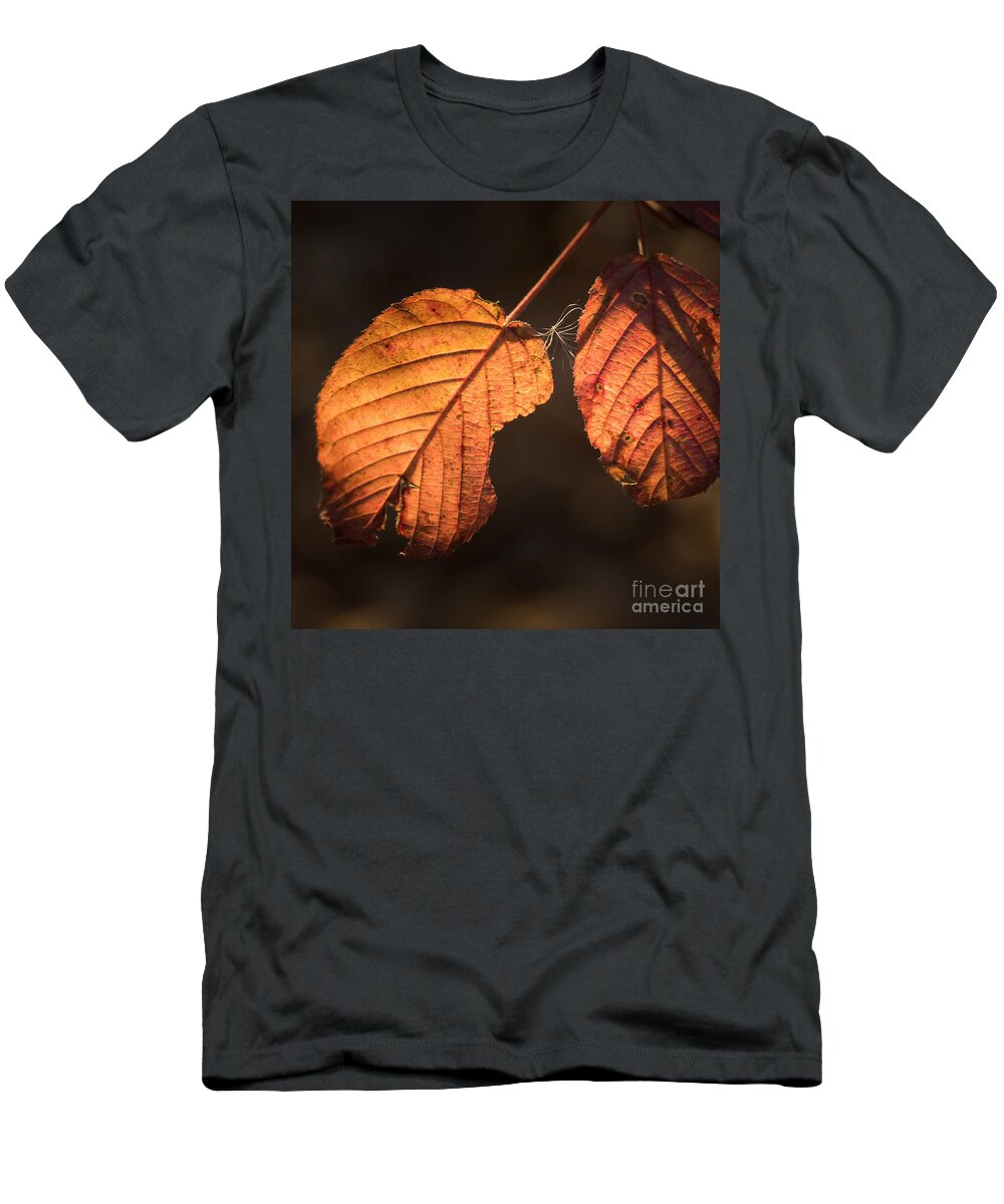 Eldar Chronicles T-Shirt featuring the photograph Eldar chronicles 9 by Paul Davenport