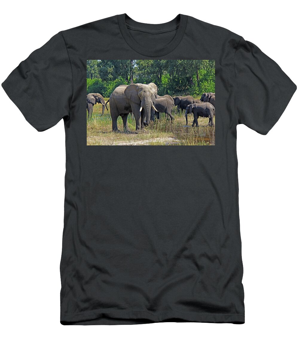 Elephant T-Shirt featuring the photograph Elephants 3 by Richard Krebs