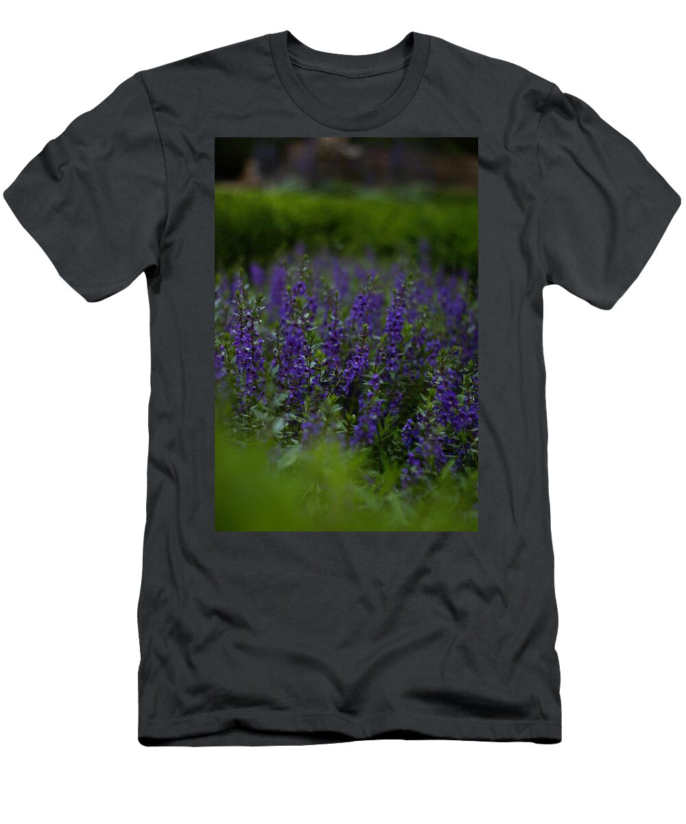 Flower T-Shirt featuring the photograph Elizabethan Gardens by Andreas Freund