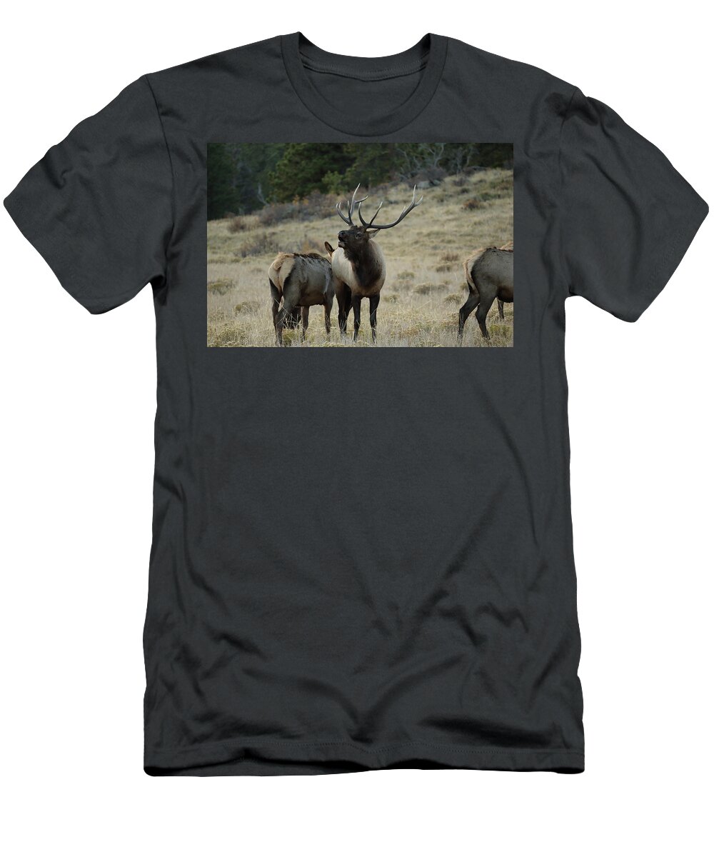 Elk T-Shirt featuring the photograph Elk Bull by David Diaz