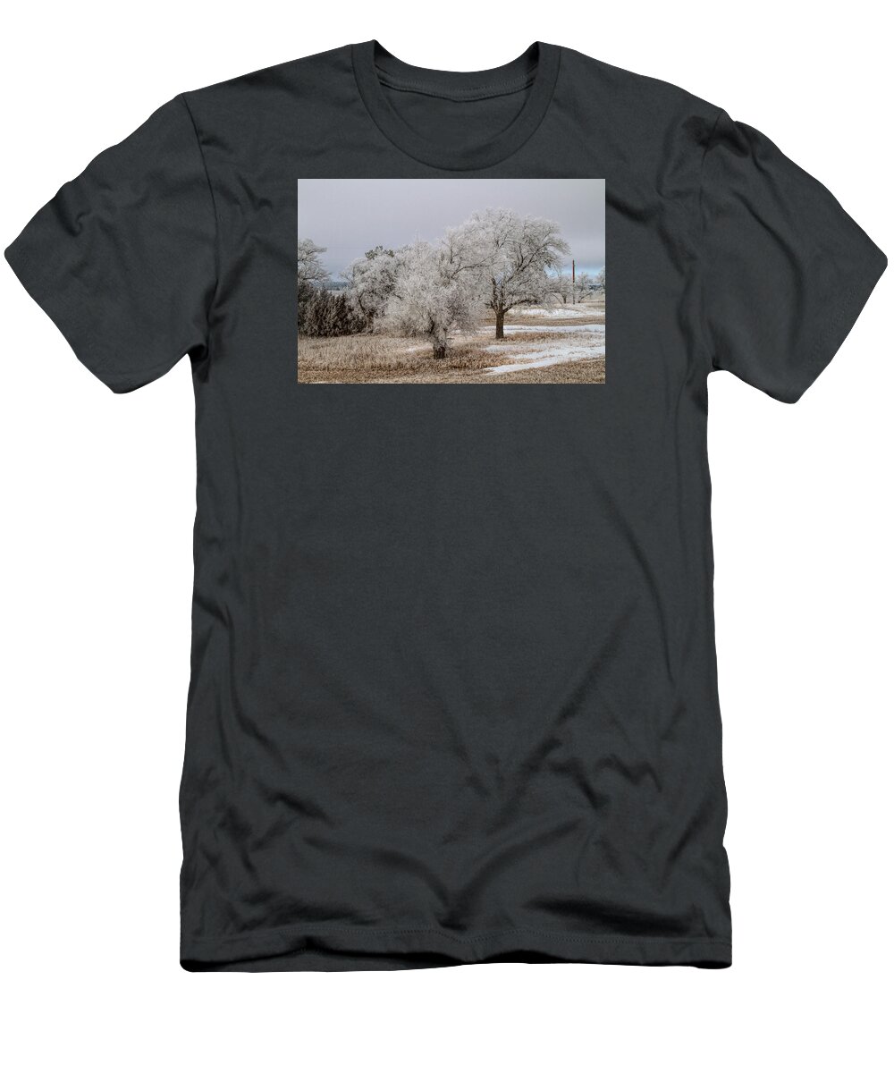 Elm Tree T-Shirt featuring the photograph Elm Frosting by Alana Thrower