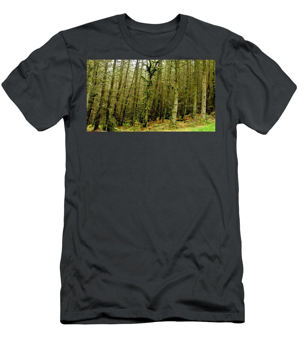 Woods T-Shirt featuring the photograph Enchanted Forest by Elena Perelman
