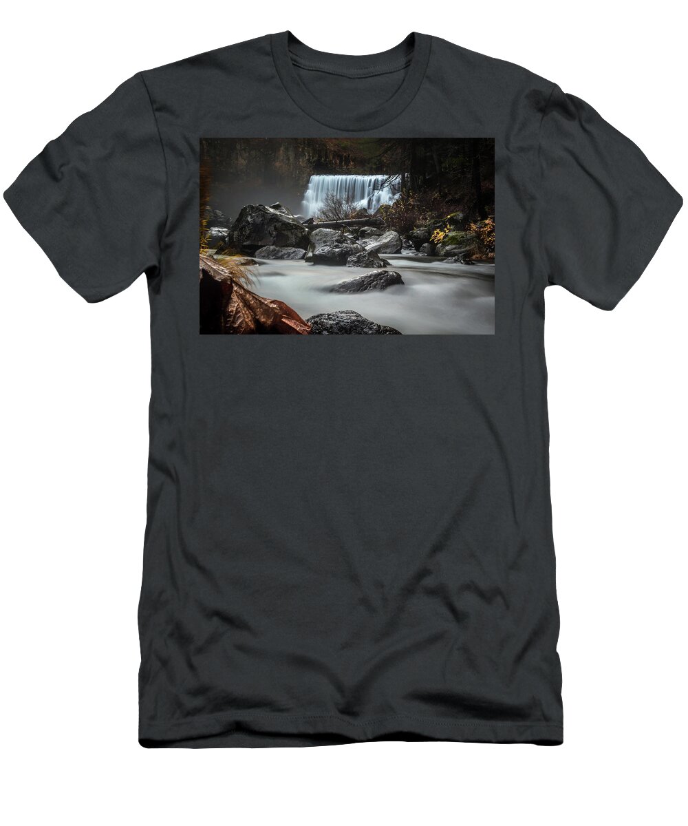 California T-Shirt featuring the photograph End of Fall by Marnie Patchett