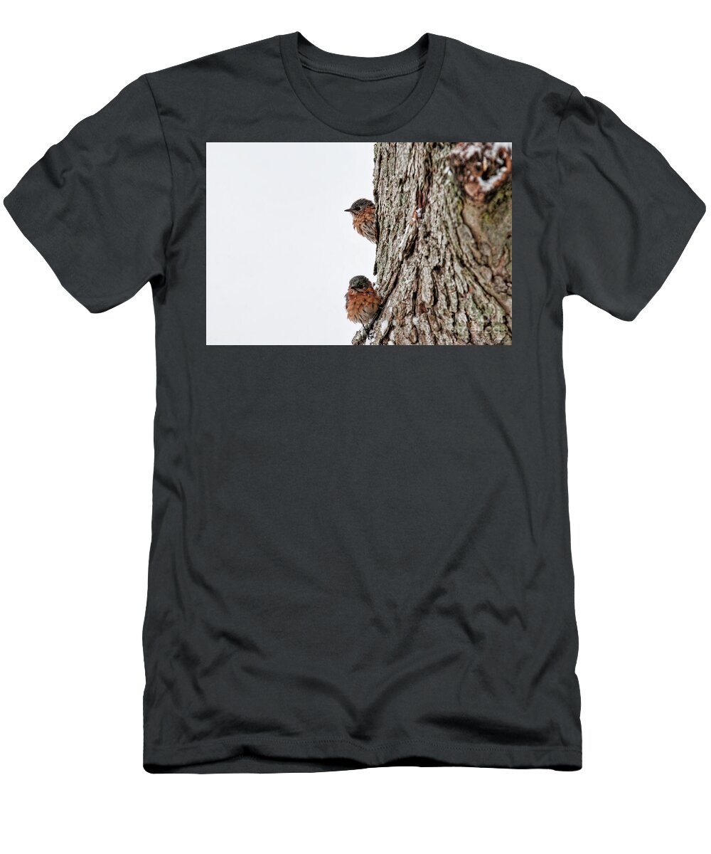 Birds T-Shirt featuring the photograph End of Winter by David Arment