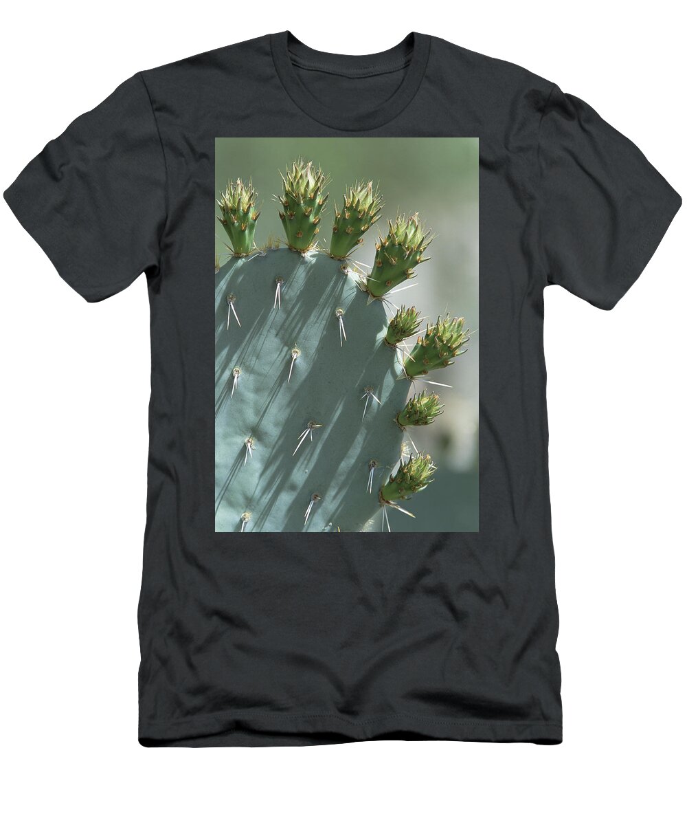 Mp T-Shirt featuring the photograph Engelmann Prickly Pear Opuntia by Konrad Wothe