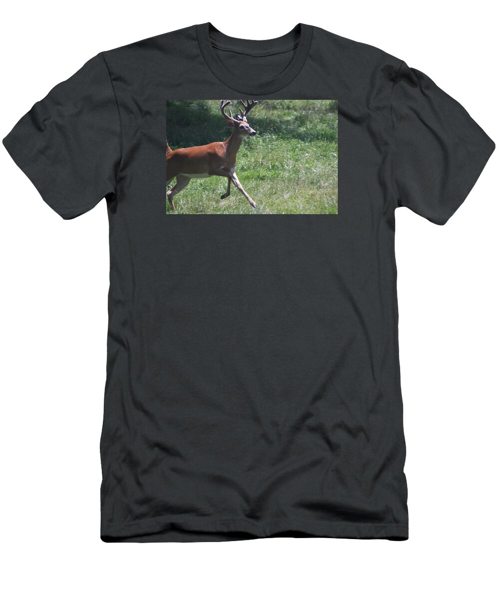 Vadim T-Shirt featuring the photograph Enjoying a Bright Day by Vadim Levin