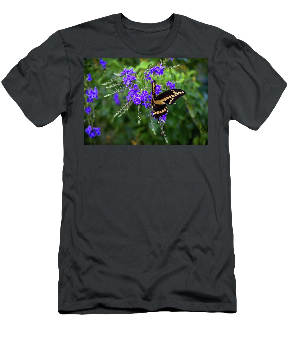 Butterfly T-Shirt featuring the photograph Enjoying A Meal by Leticia Latocki